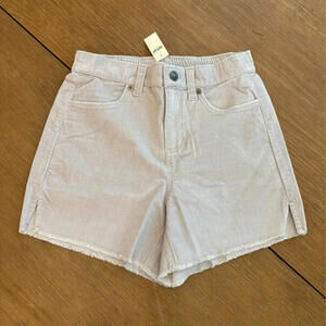 Aerie shorts